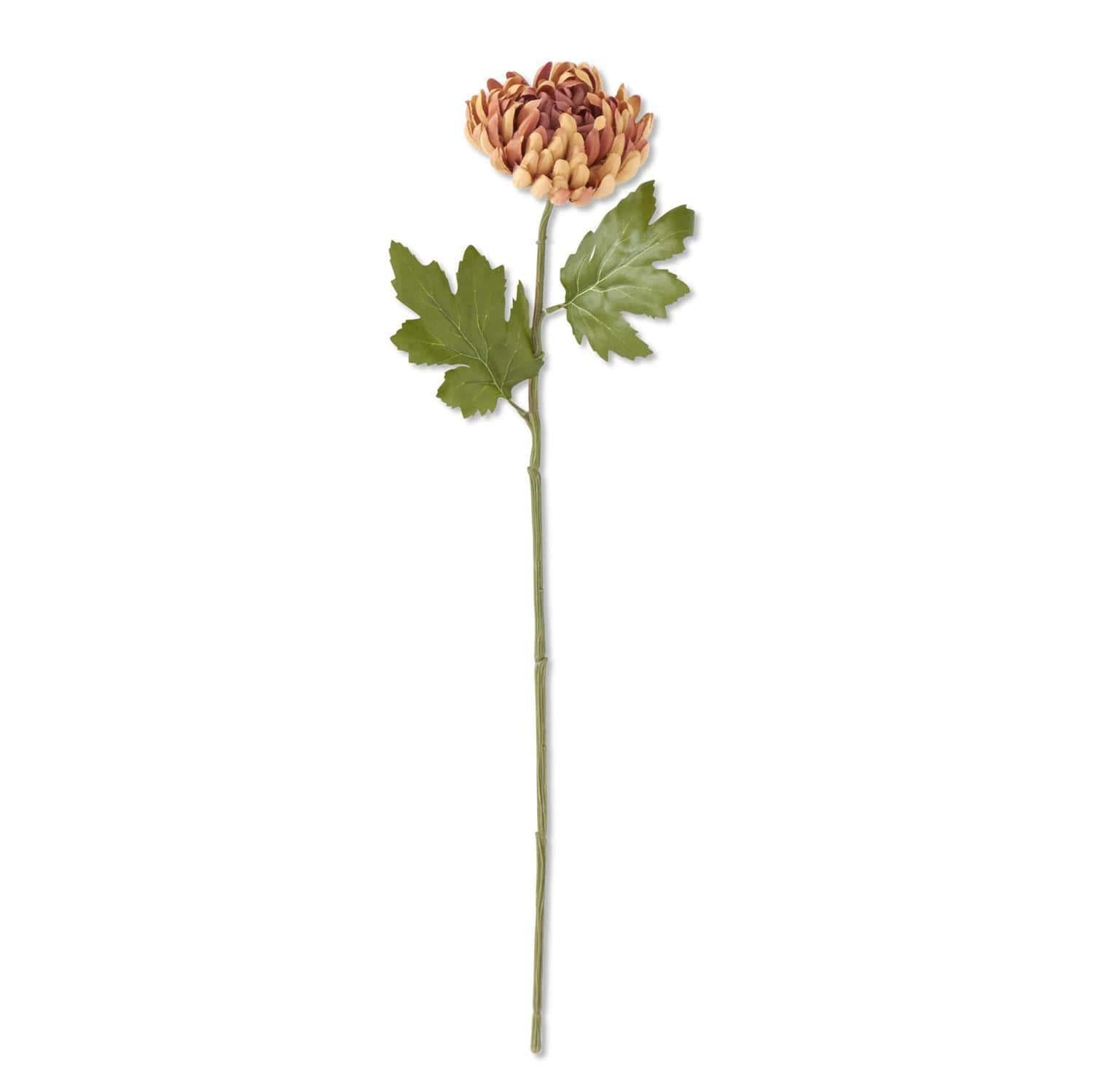 Rust Mum Stem